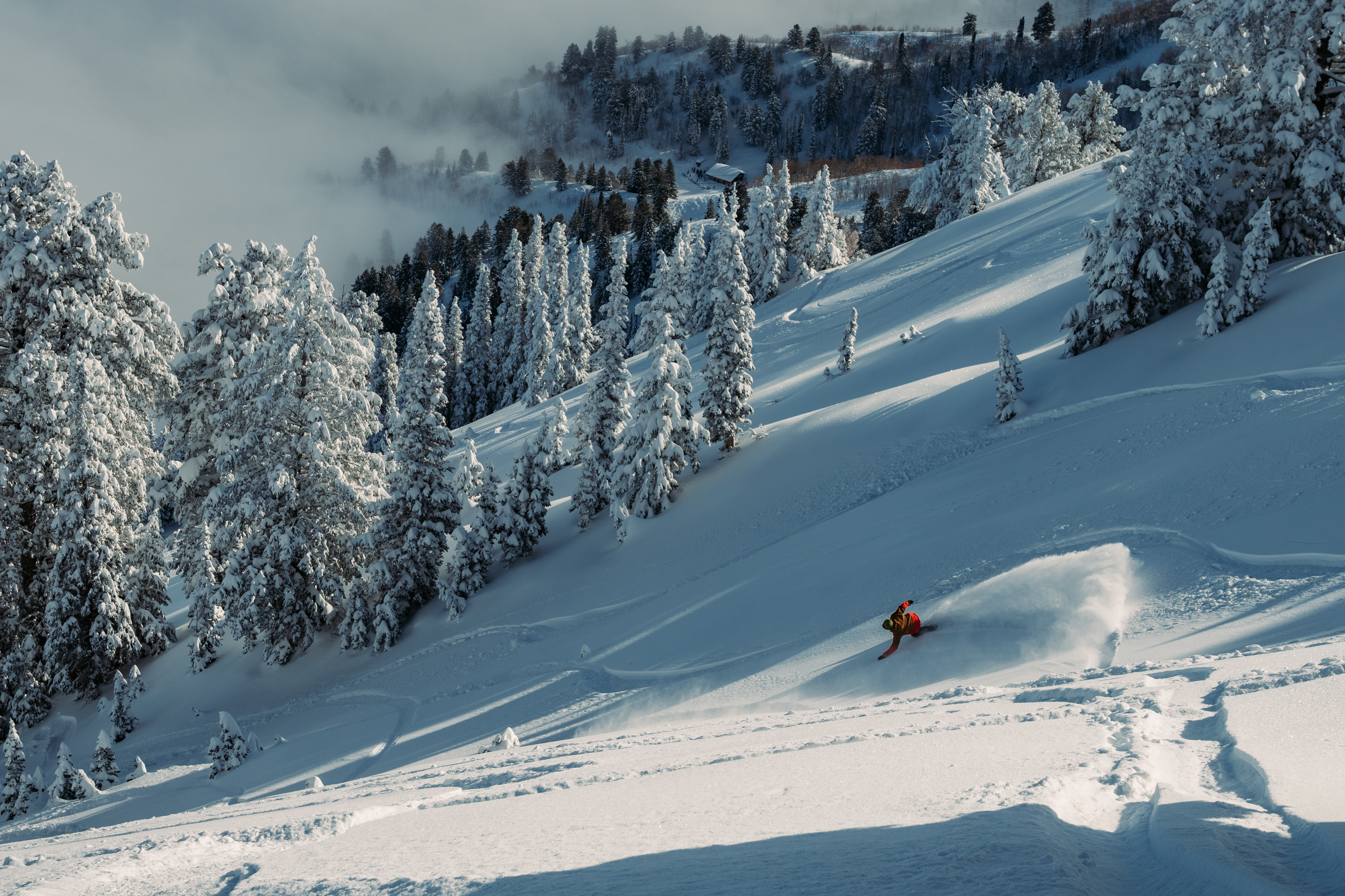 scroll-explore-winter-guide-background