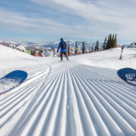 card-year-2-learn-earn-return