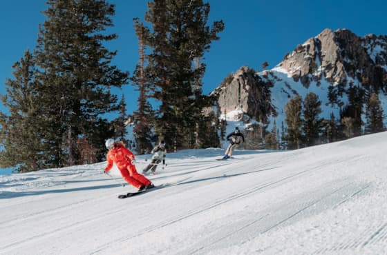 carousel-adult-lessons