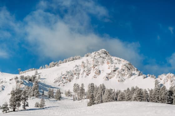 carousel-demoisy-express