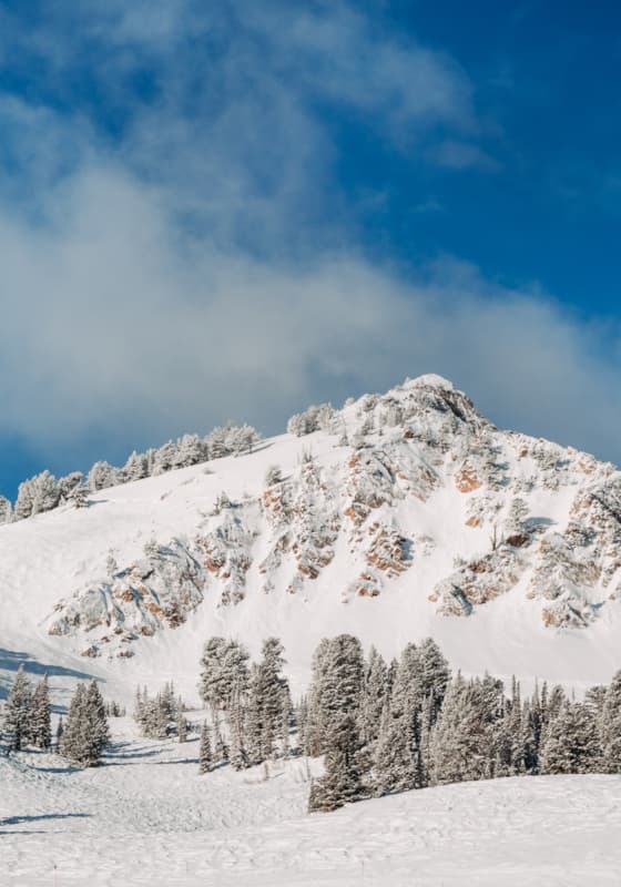 carousel-demoisy-express