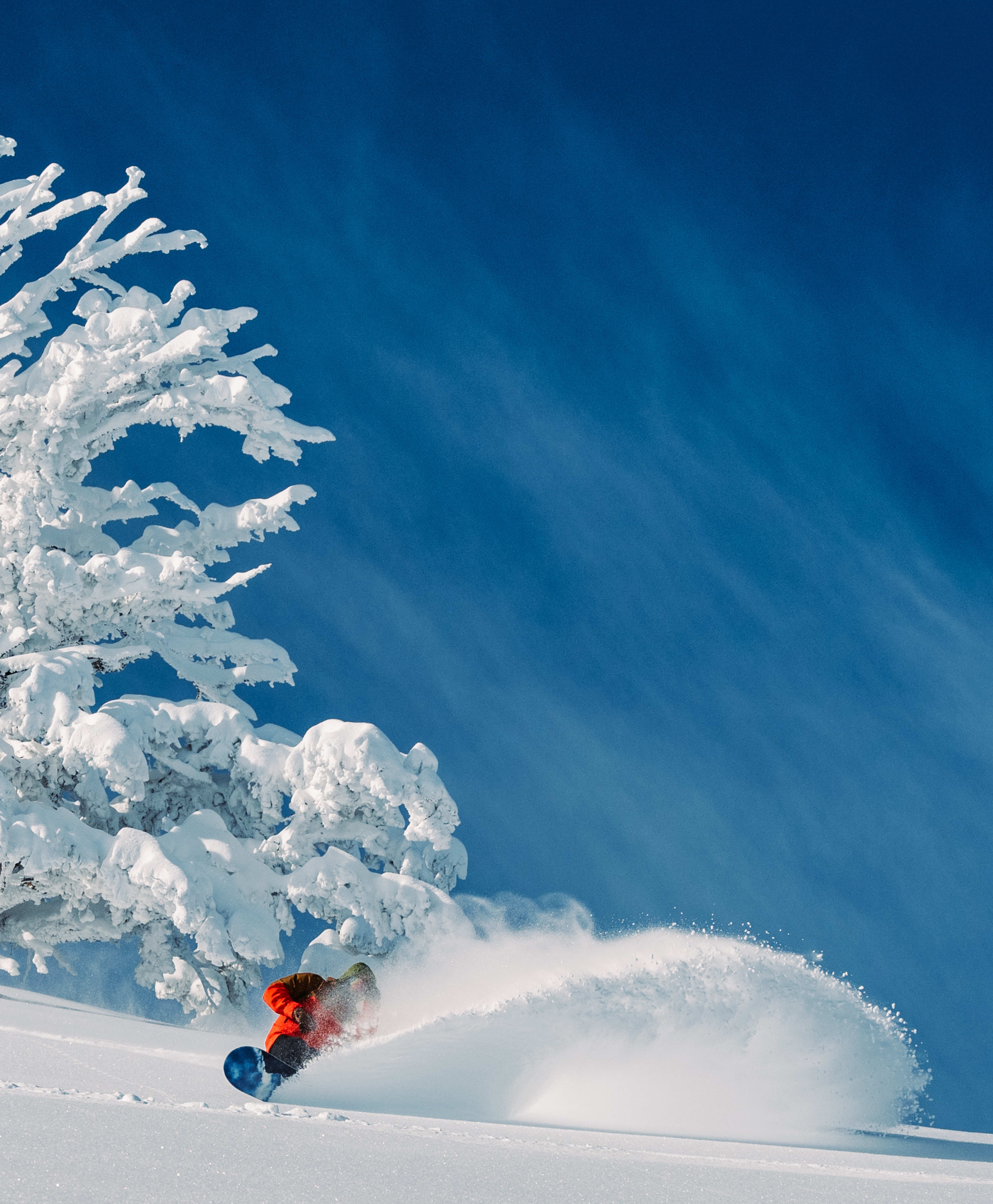 image-inset-large-powder