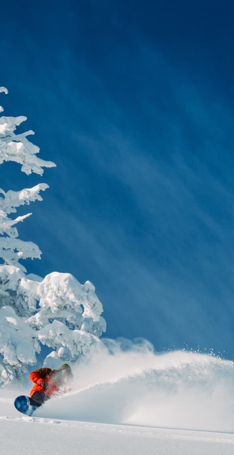 image-inset-large-powder