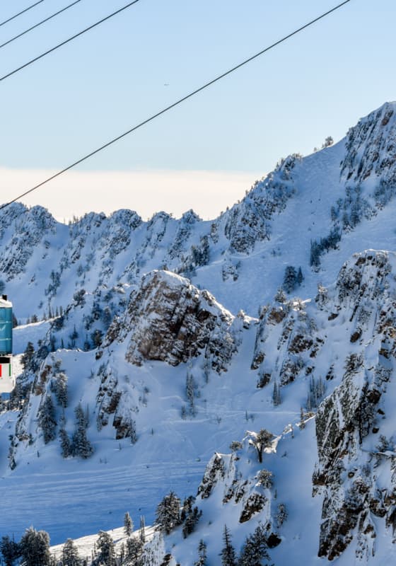 scroll-explore-grizzly-downhill-background