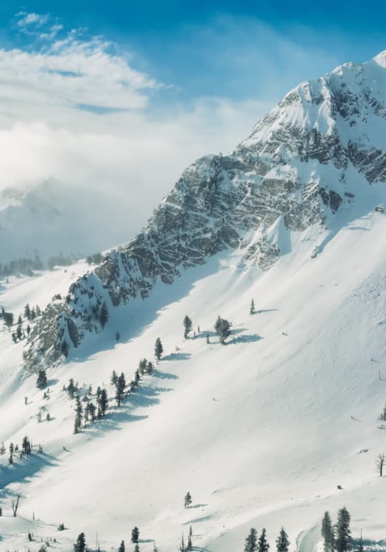 scroll-explore-mt-ogden-bowl-background
