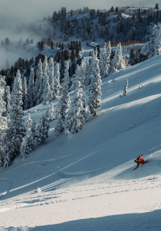 scroll-explore-no-name-background