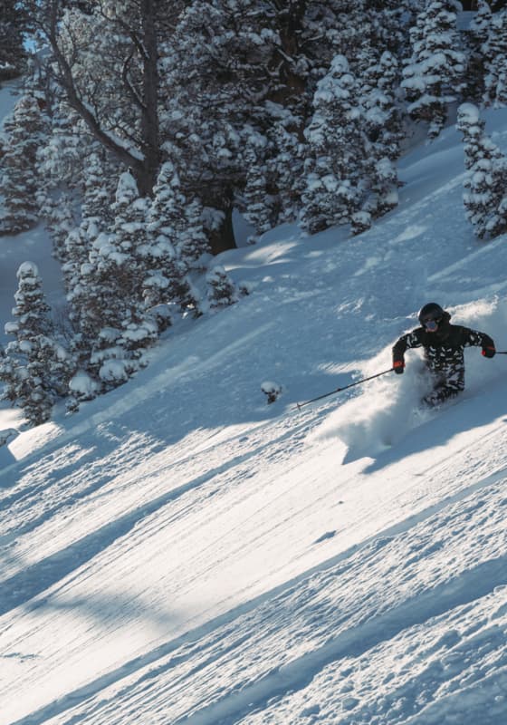 scroll-explore-sisters-bowl-background