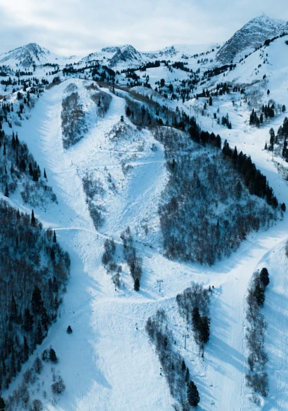 scroll-explore-wildcat-bowl-background