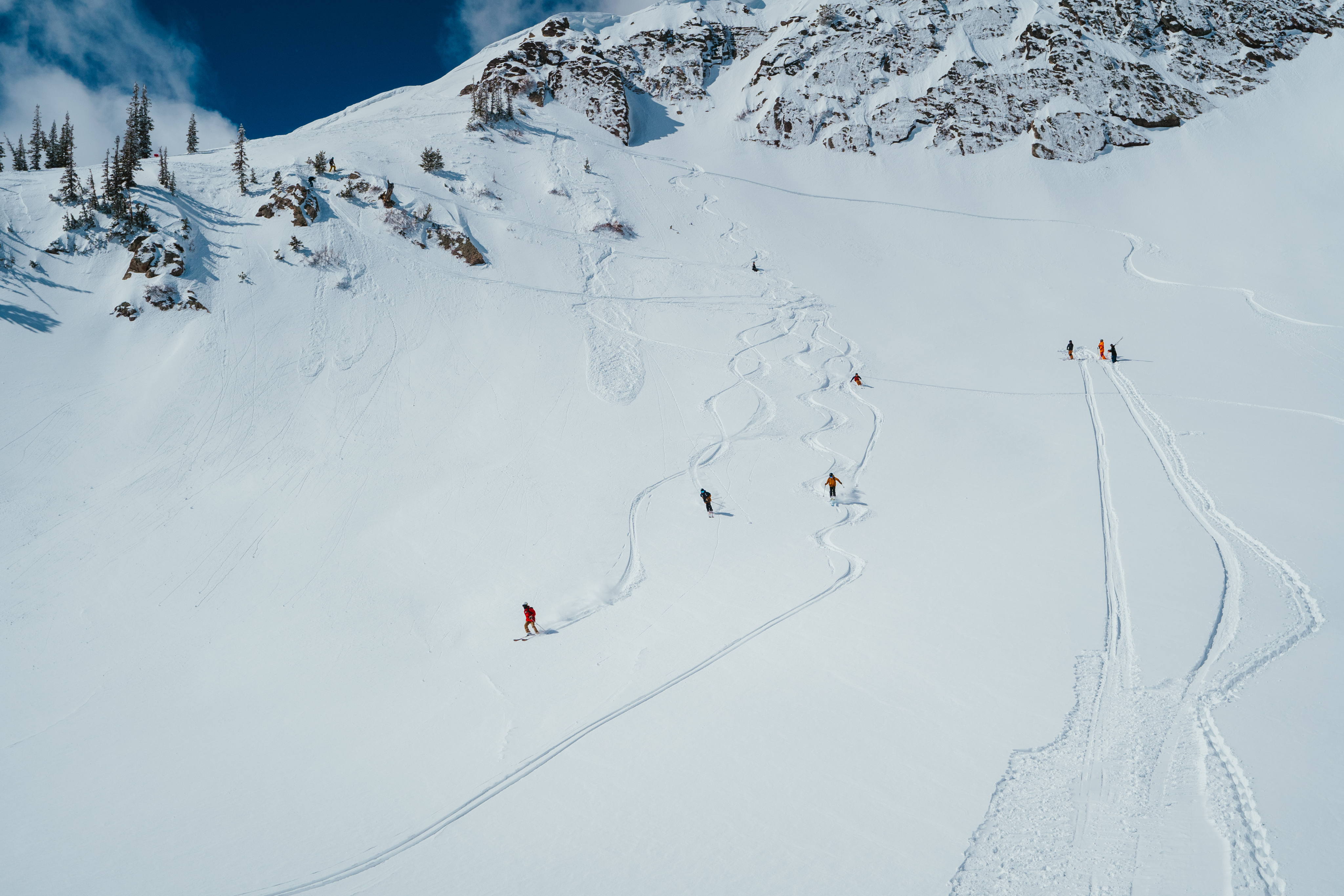 image-inset-large-needles