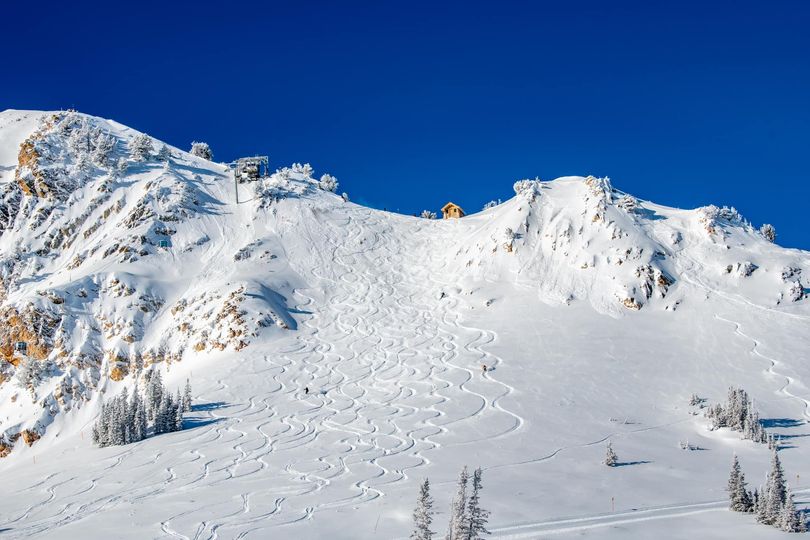 335892161_508281351487785_1229147452410581783_n