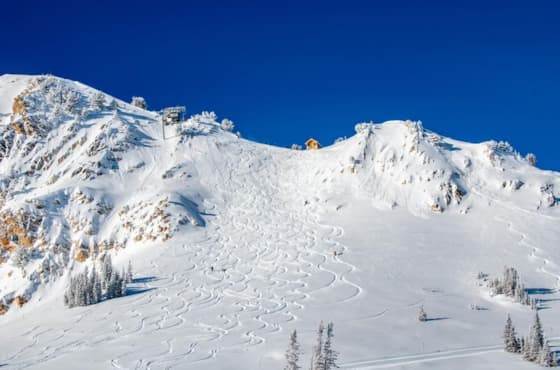 335892161_508281351487785_1229147452410581783_n