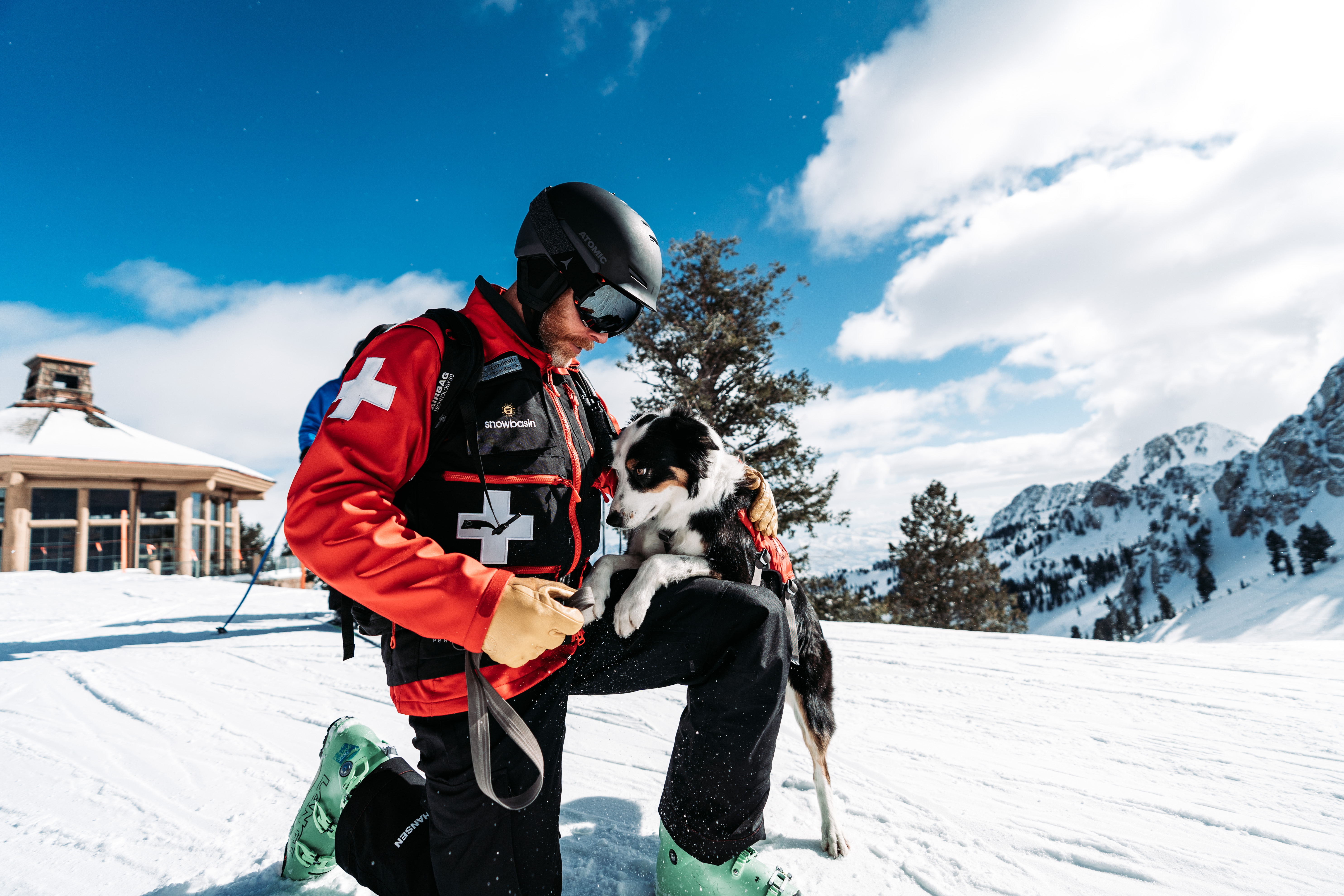 ski-patrol-dog