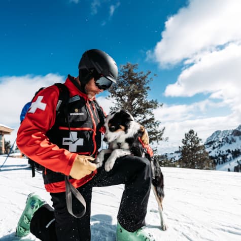 ski-patrol-dog