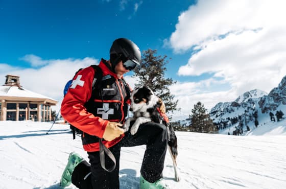 ski-patrol-dog