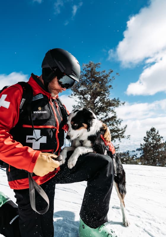 ski-patrol-dog