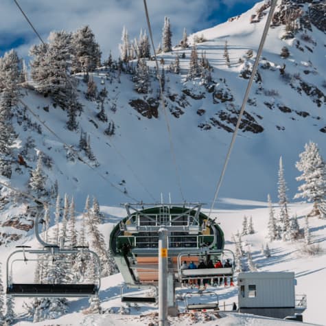 middle-bowl-top-terminal