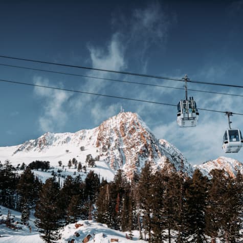 scenic-needles-gondola
