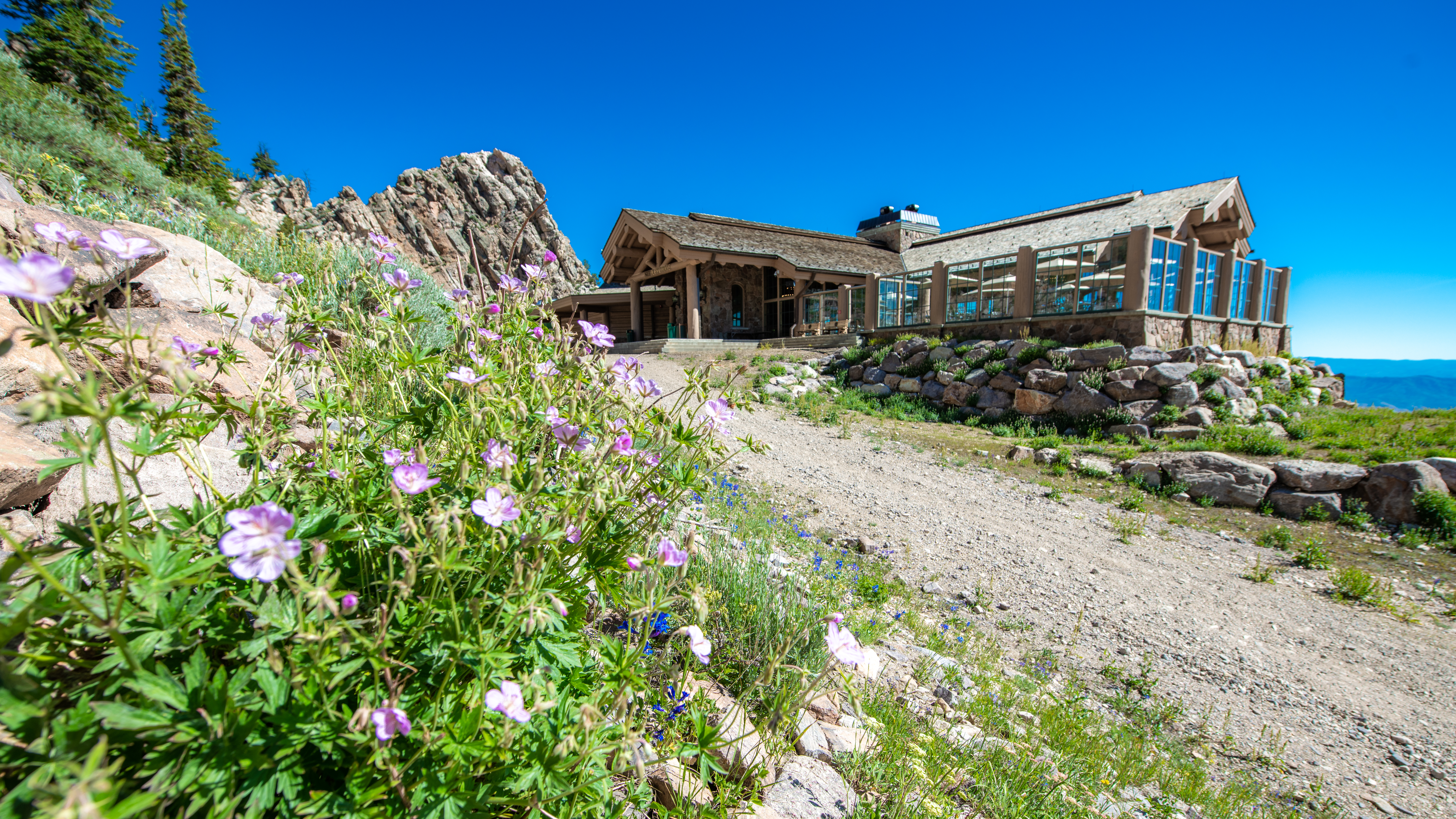 needles-lodge