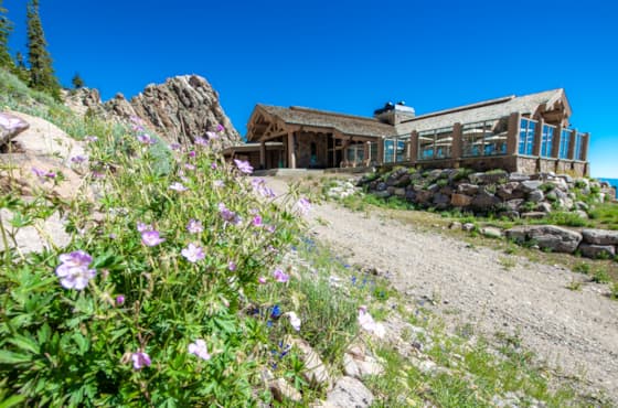 needles-lodge