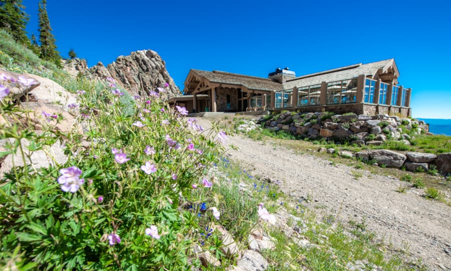 needles-lodge