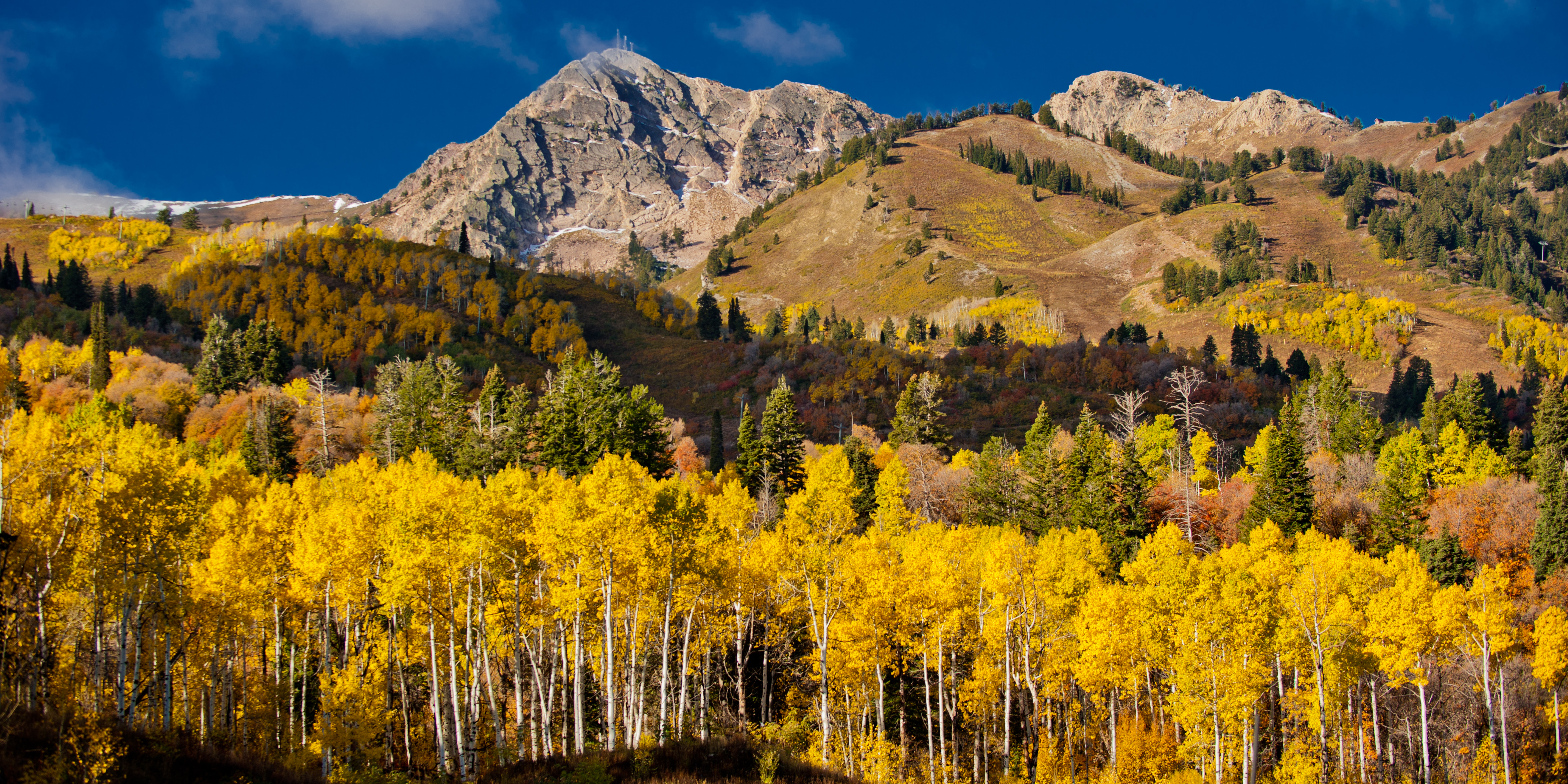 fall-scenic-snowwiesn