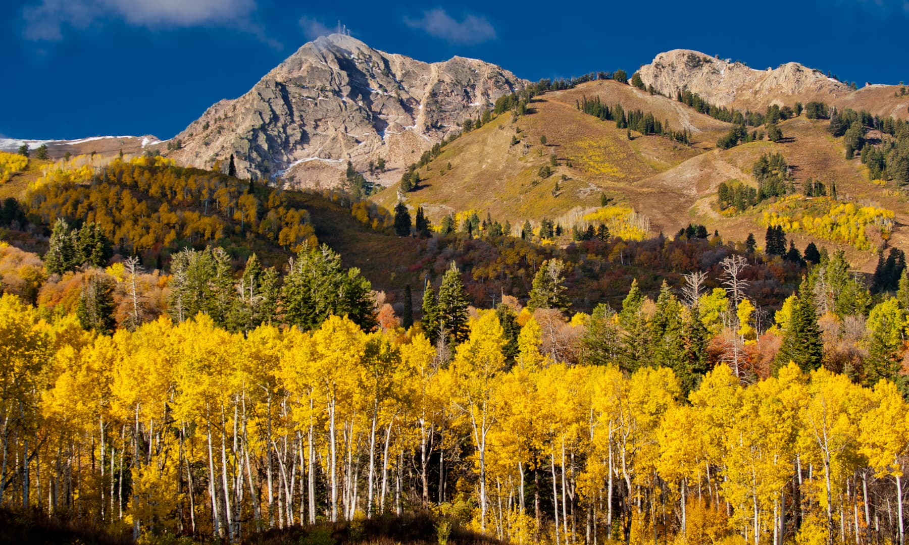 Snow Basic Start Your Journey: Your Guide to Snowbasin | Snowbasin