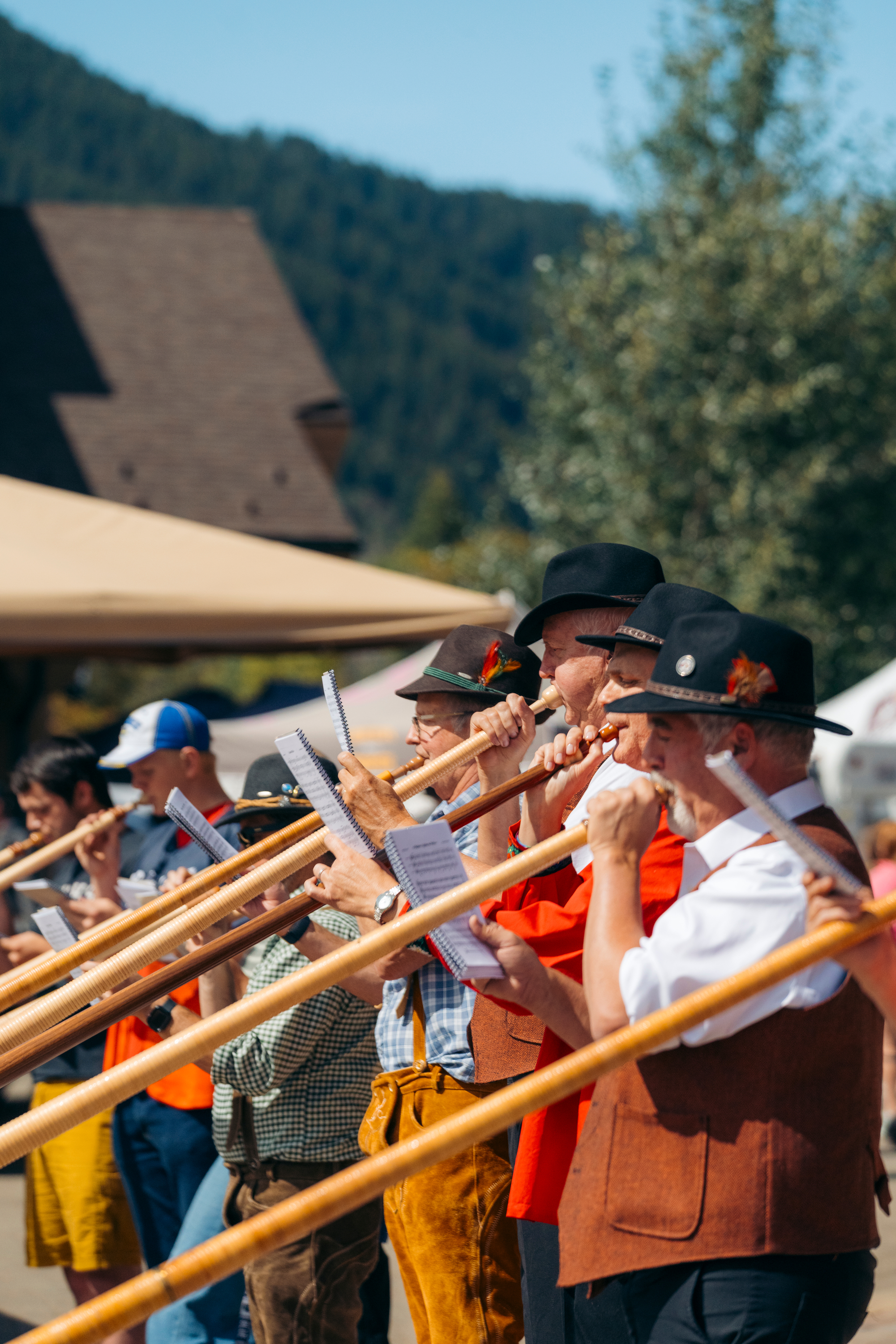 sb_alpenhorns