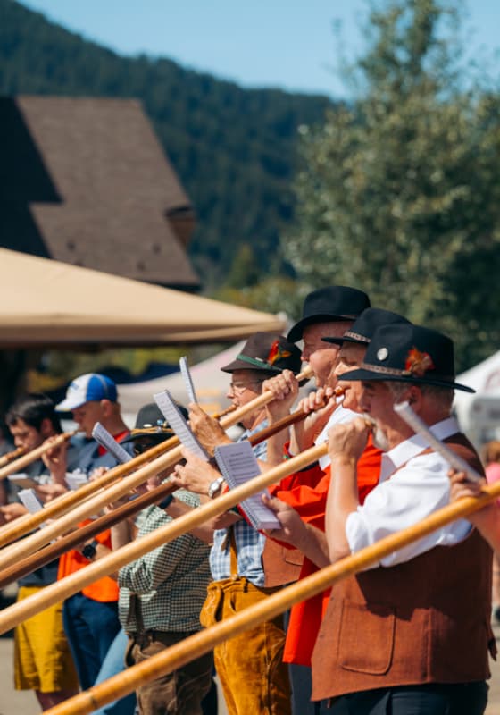 sb_alpenhorns