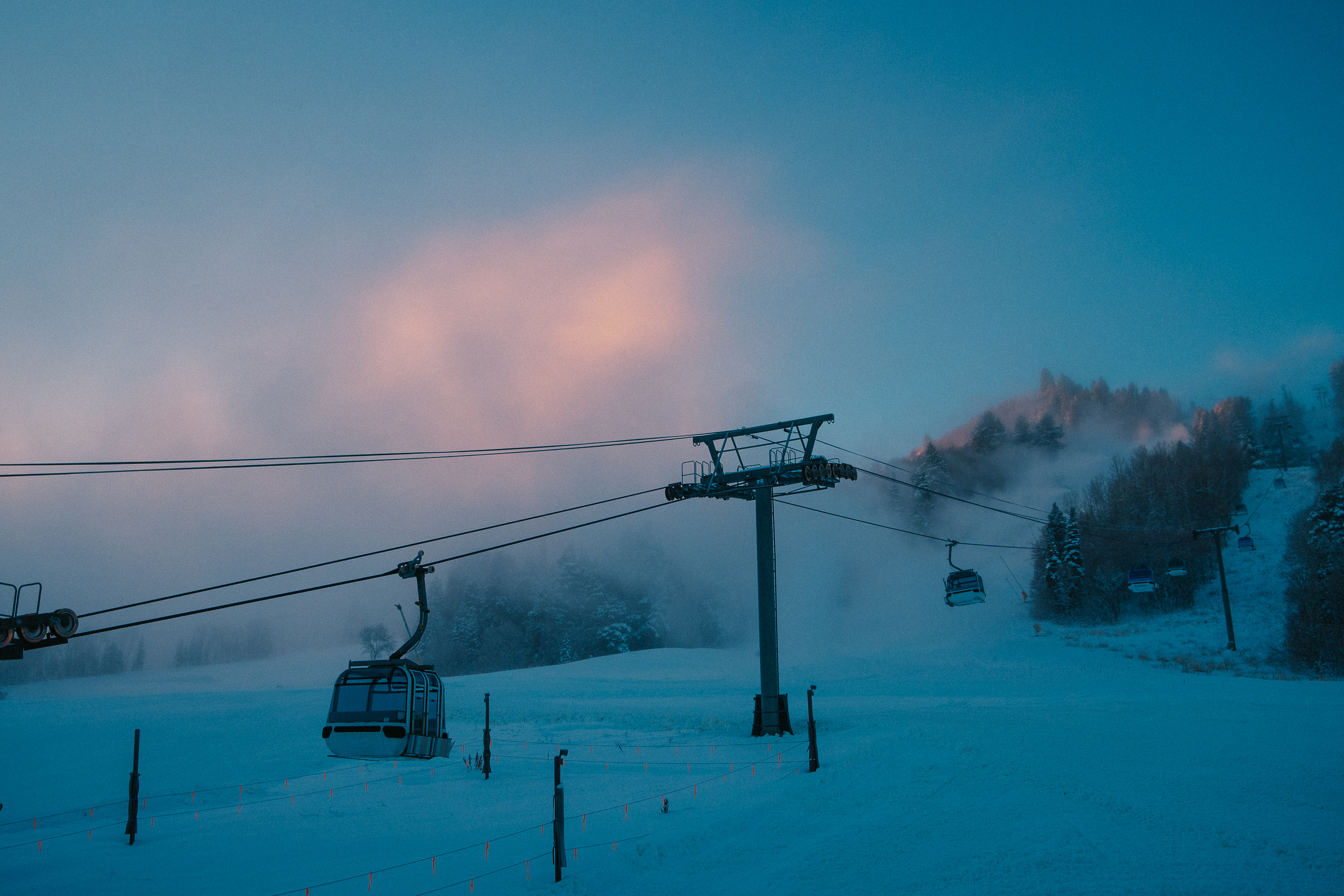 SB_OpeningDayNeedles