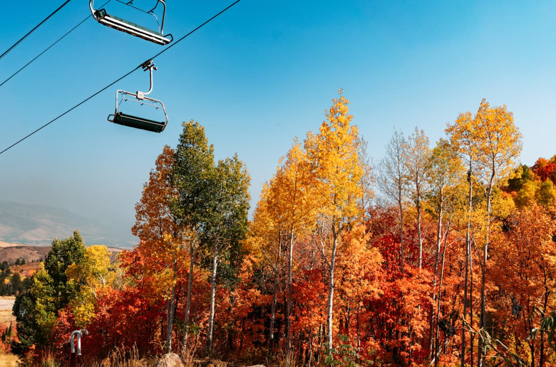 Snow Basic Welcome to Snowbasin Resort | Snowbasin