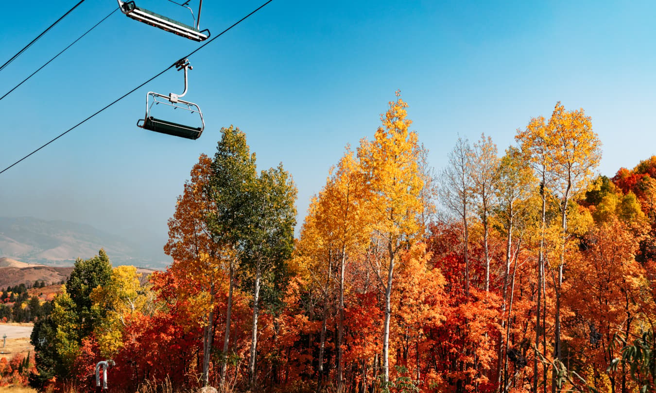Snow Basing Start Your Journey: Your Guide to Snowbasin | Snowbasin