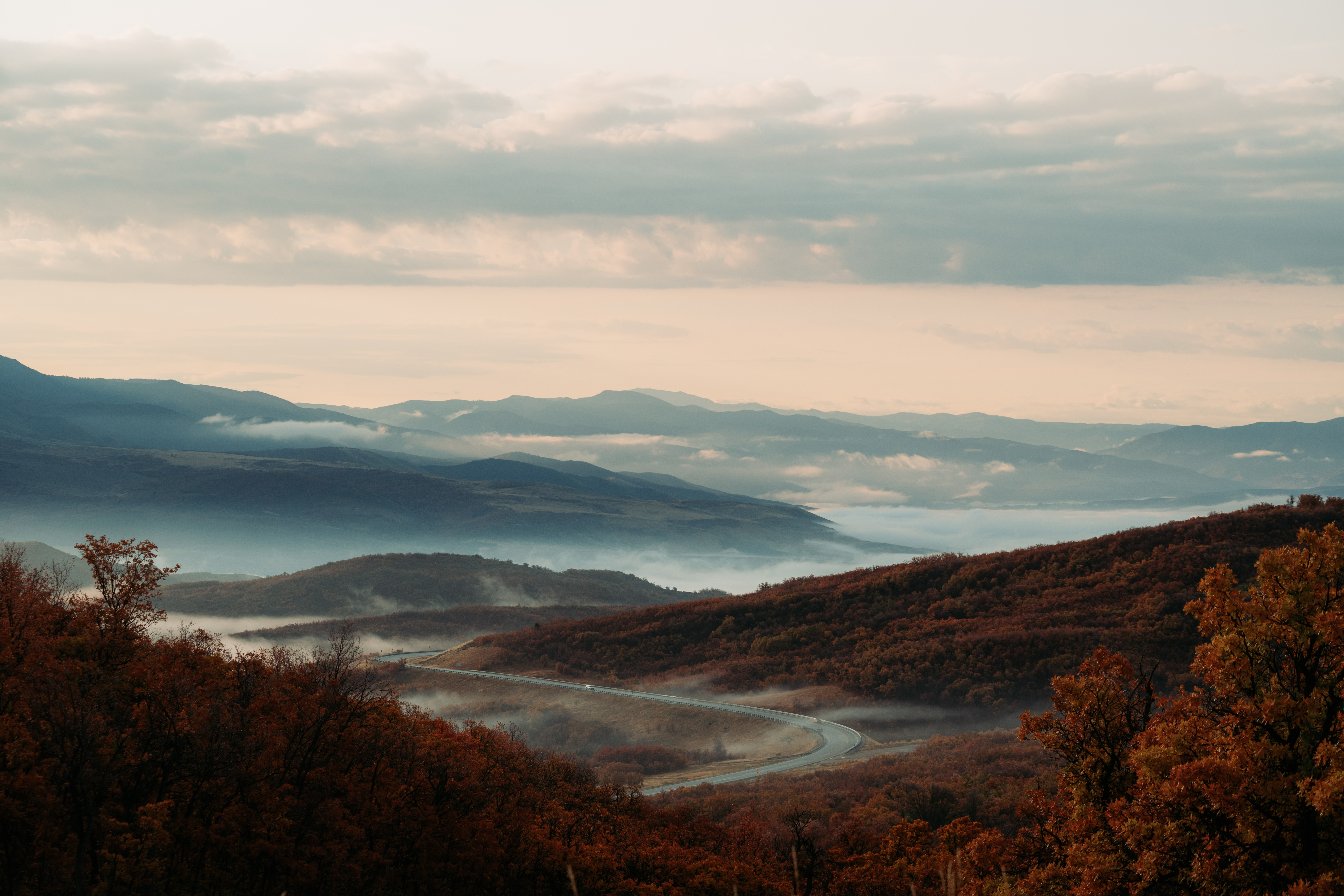 fall_scenic_foggy_road