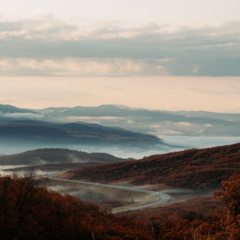 fall_scenic_foggy_road
