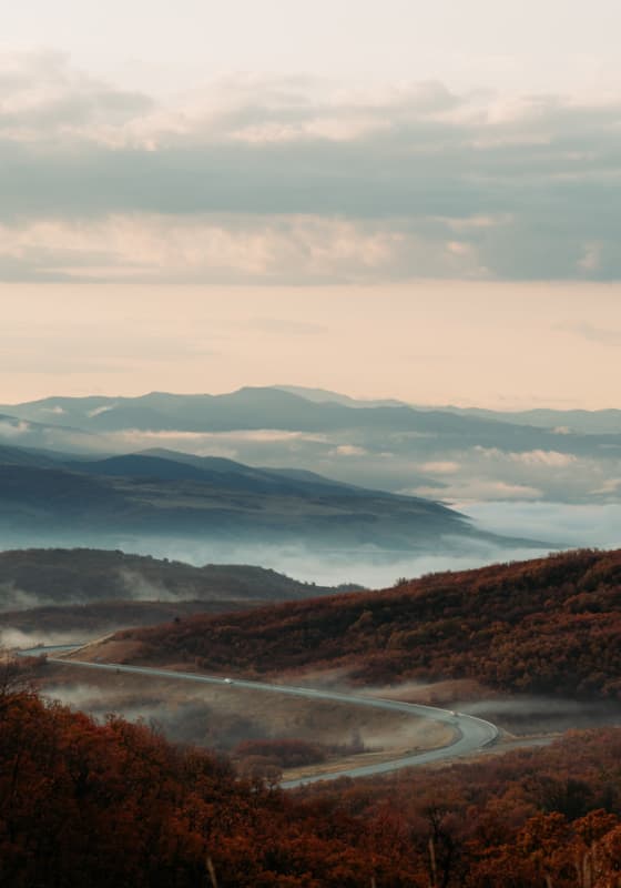 fall_scenic_foggy_road