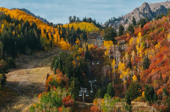 fall_scenic_gondola_the-needle