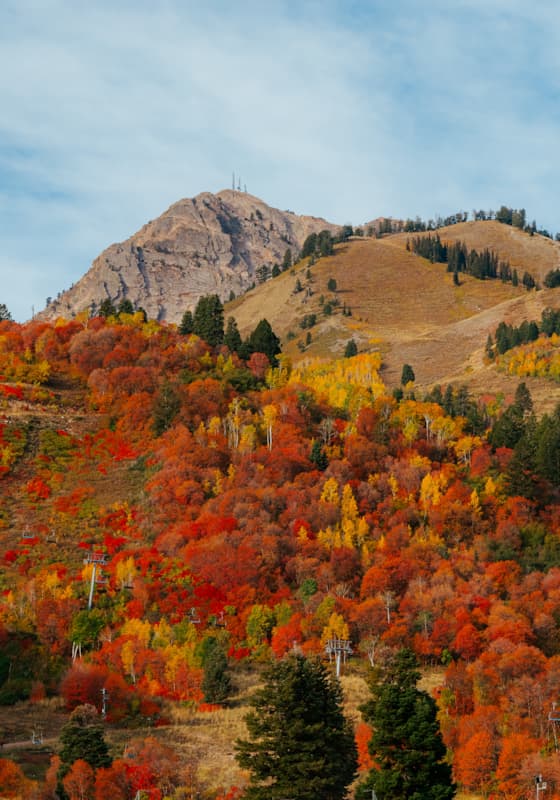 scenic-fall-leaves-mt-ogden