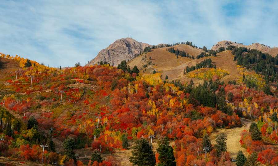 scenic-fall-leaves-mt-ogden