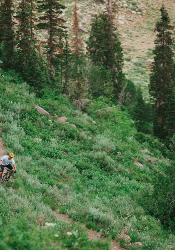 sb-porcupine-biking