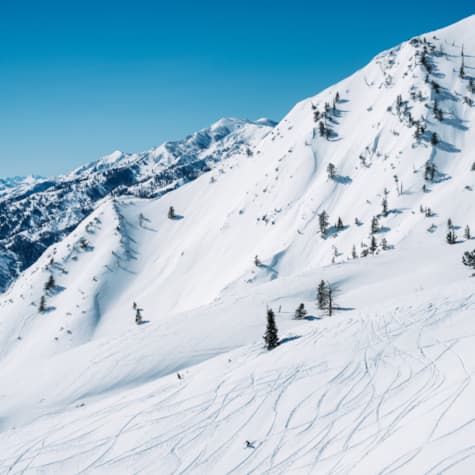 dsc09314-2100x1400-4fbf4743-1668-46dd-a3ad-739729cde473