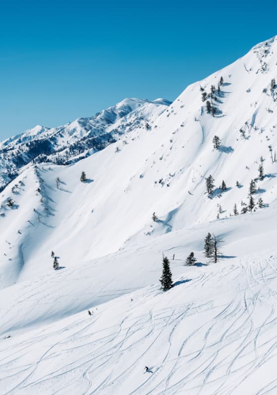 dsc09314-2100x1400-4fbf4743-1668-46dd-a3ad-739729cde473