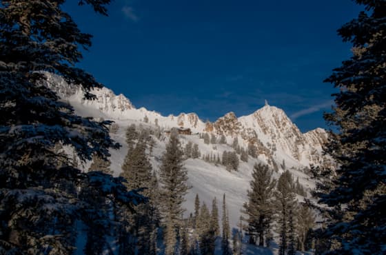 feb-16th-2018-marketing-shoot-rlt-9395