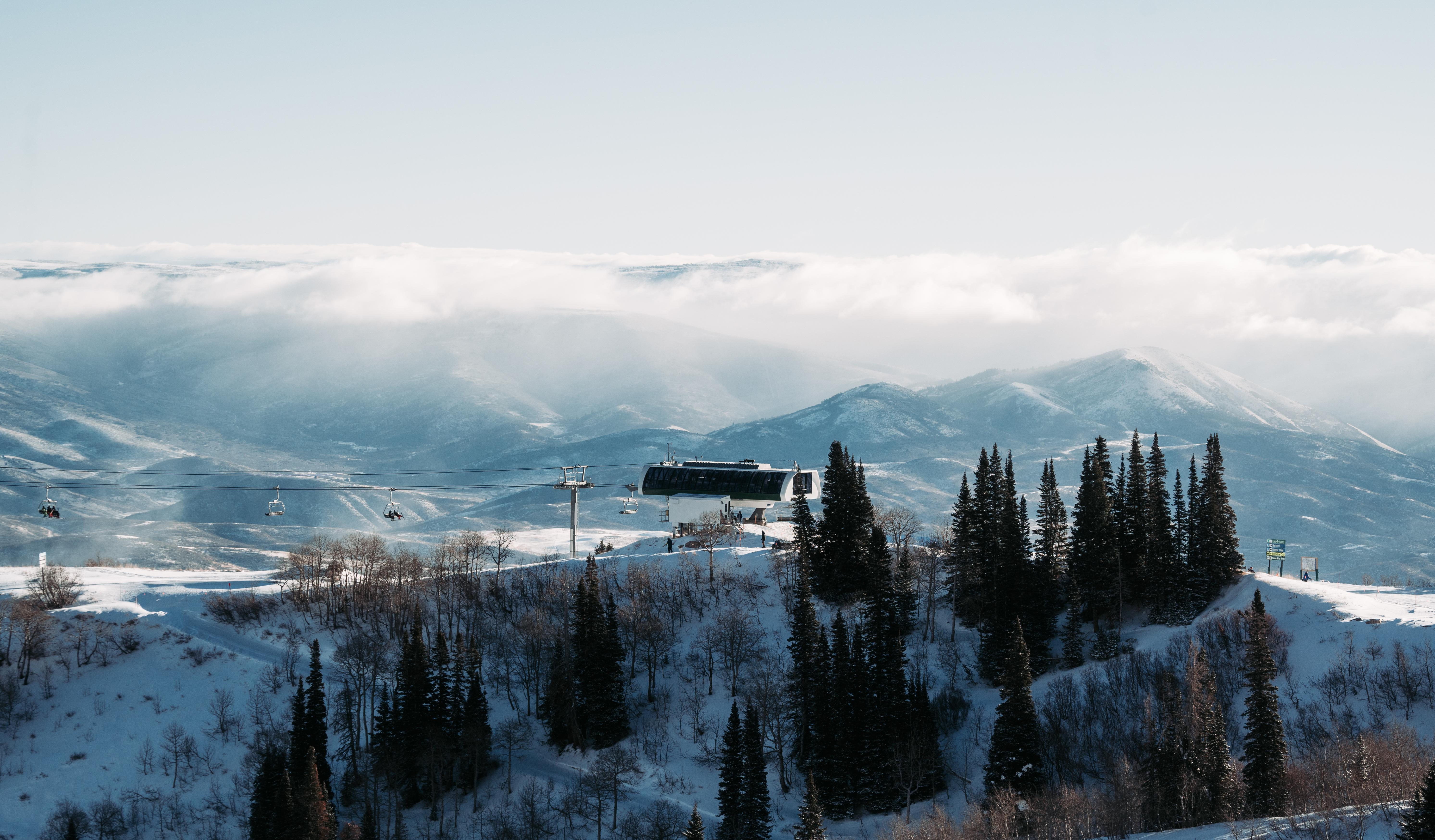 sb_wildcatwinterscenic