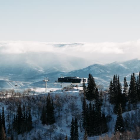 sb_wildcatwinterscenic