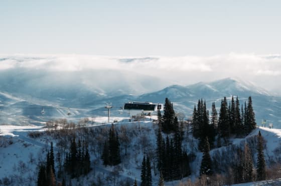 sb_wildcatwinterscenic