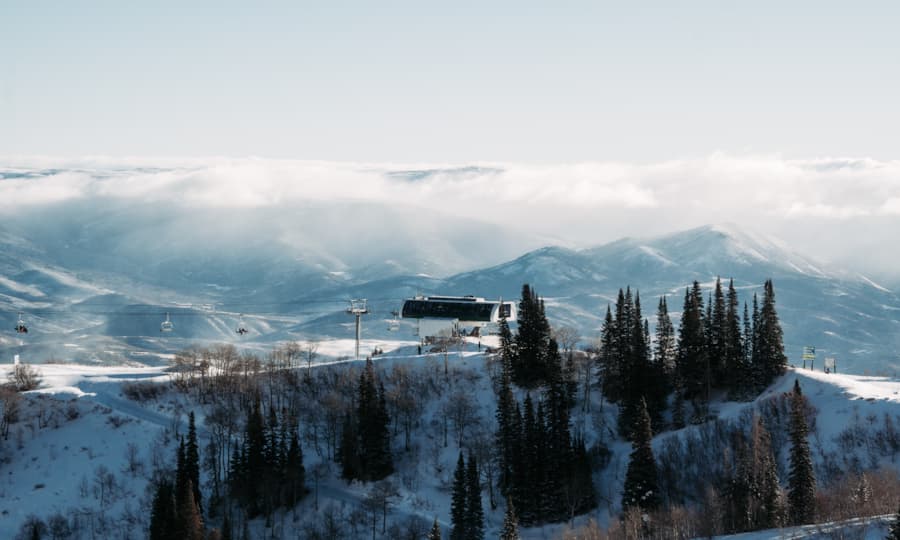 sb_wildcatwinterscenic