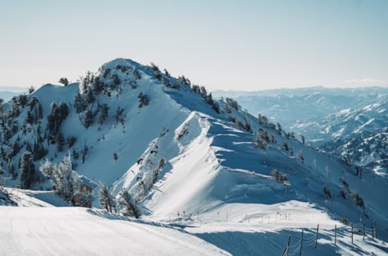 scenic-strawberry-ridge