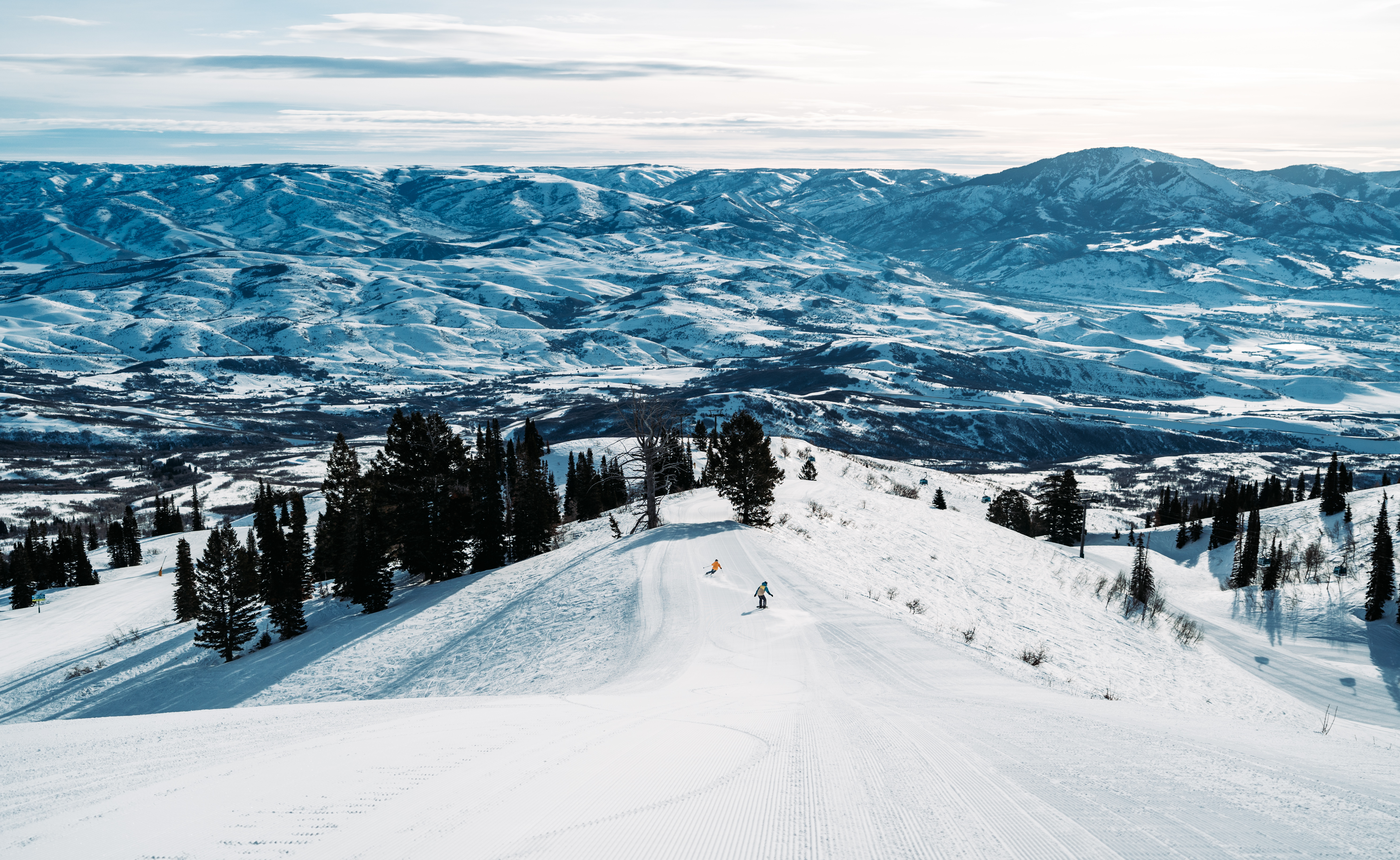 scenic-winter-strawberry-groomer-valley-view