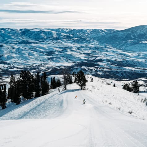 scenic-winter-strawberry-groomer-valley-view
