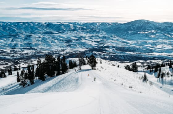 scenic-winter-strawberry-groomer-valley-view