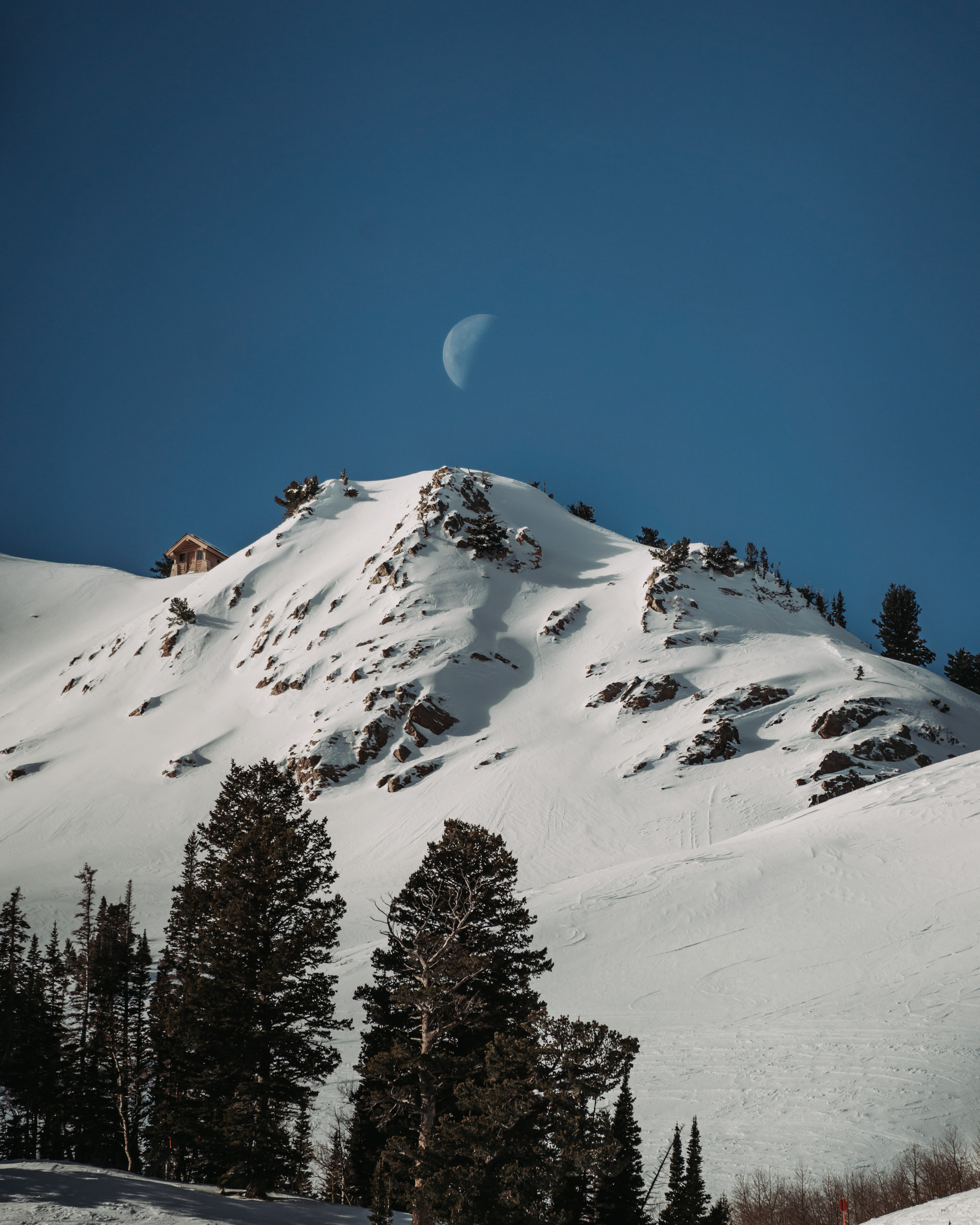 Winter_Scenic_Grizzly-Start-and-Moon